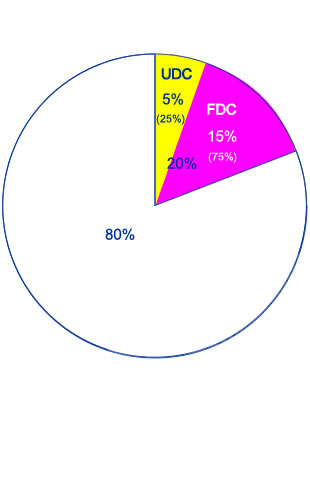 Economic Engine Percentage