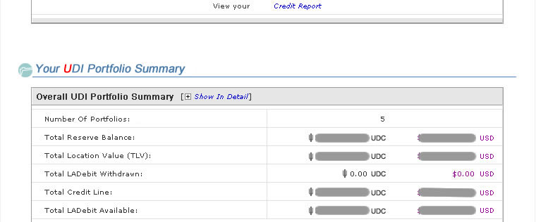 Bata Account Portfolio Summary